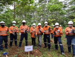 Hari Menanam Pohon Indonesia 2021,PT Agincourt Resources Tanam 3.500 Bibit Pohon