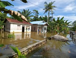Batu Bara Diterjang Banjir Kiriman Simalungun, Hampir 400 Rumah Terendam, 13 KK Mengungsi 7 Batu Bara Diterjang Banjir Kiriman Simalungun, Hampir 400 Rumah Terendam, 13 KK Mengungsi