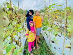 Viral, Petani Melon jadi Agrowisata Bisnis di Batu Bara