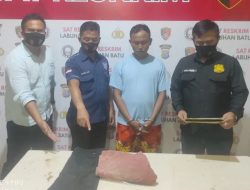 Kutip Brondolan di Kebun, Satpam di Labuhanbatu Ini Cabuli IRT