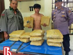 Polsek Batunadua Tangkap Pemuda Bawah 12 Bal Ganja