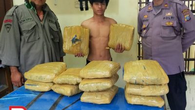 Polsek Batunadua Tangkap Pemuda Bawah 12 Bal Ganja