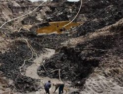 Cadangan Timah Indonesia Cuma Sampai 2046 