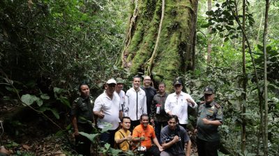 Musa Rajekshah Tinjau Kondisi Orang Utan Bukit Lawang