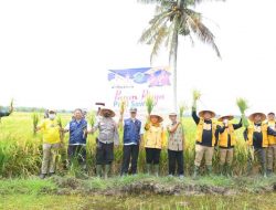 Bupati Labura Bung Desa Ke VIII, Melayani Masyarakat 10 Bupati Labura Bung Desa Ke VIII, Melayani Masyarakat