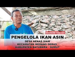 Ekonomi Rakyat | Pengelola Ikan Asin Desa Nenas Siam Kecamatan Medang Deras Kabupaten Batubara-Sumut