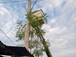 Dinas Kebersihan dan Pertamanan Medan Pasang Lampu Jalan, Ini Kata Warga