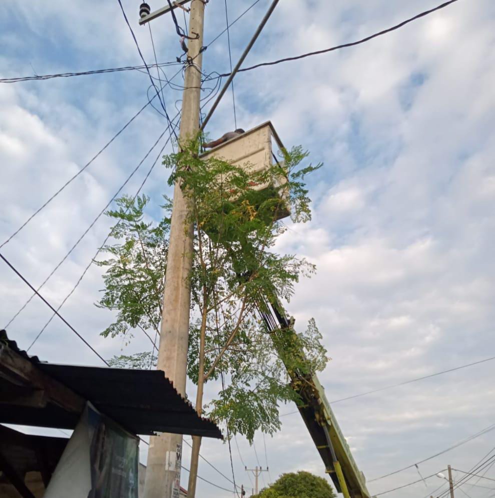 Dinas Kebersihan dan Pertamanan Medan Pasang Lampu Jalan, Ini Kata Warga