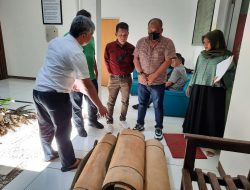 Kasus PETI : Kejari Madina Terima Barang Bukti Karpet, Ekskavator Masih Dicari