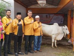 Partai Hanura Sumut Sembelih 3 Hewan Kurban