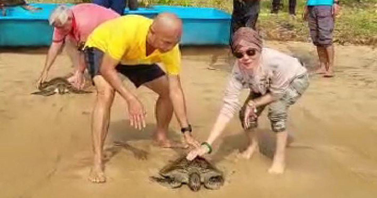 Jaga Keseimbangan Alam, Kajati Jakarta Melepasliarkan Ratusan Penyu dan Burung