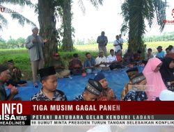 Tiga Musim Gagal Panen Petani Batubara Gelar Kenduri Ladang