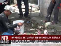 Bapenda Batubara Menyembelih Hewan Qurban 2 Ekor Lembu dan 1 Ekor Kambing