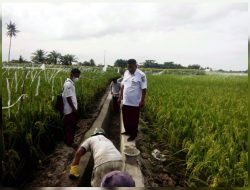 Pj. Kades Tanah Tinggi Tinjau Proyek Drainase