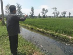Kades Naga Kisar Luruskan Isu Sawah Tercemar Limbah PT A
