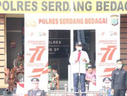 Sebanyak 156 Peristiwa Karhutla Terjadi Di Sumut Pada Semester I 2022