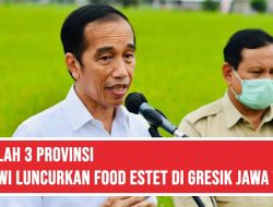 Setelah 3 Provinsi, Lagi, Jokowi Luncurkan Food estet di Gresik Jawa Timur