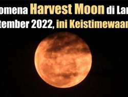 Fenomena Harvest Moon di Langit September 2022 ini Keistimewaannya