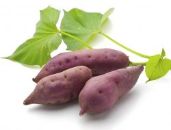 Ubi Jalar Tembus Pasar Ekspor? Ini Kata CEO RA4DS Foundation