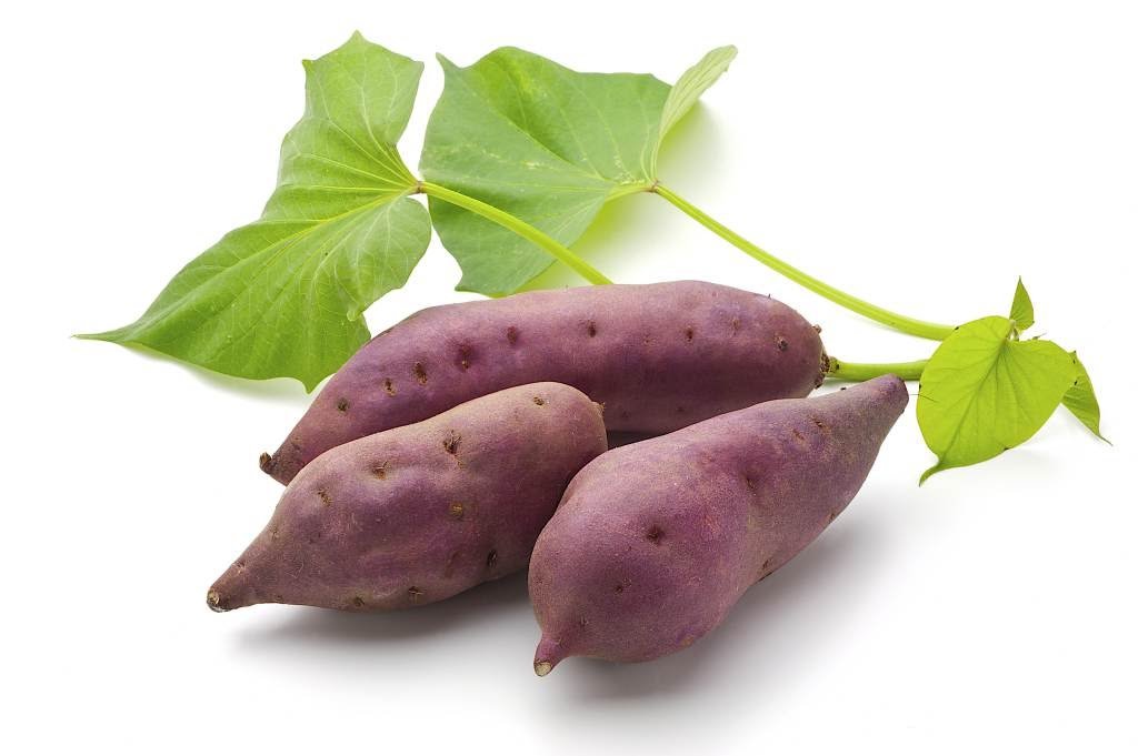 Ubi Jalar Tembus Pasar Ekspor? Ini Kata CEO RA4DS Foundation