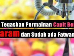 MUI Tegaskan Permainan Capit Boneka Haram dan Sudah ada Fatwanya