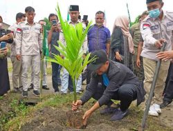 Bupati Batu Bara Tanam Pinang di Simodong