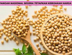 Badan Pangan Nasional Segera Tetapkan Kebijakan Harga Kedelai