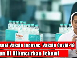 Mengenal Vaksin Indovac, Vaksin Covid 19 Buatan RI yang Diluncurkan Jokowi