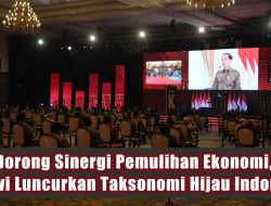 Dorong Sinergi Pemulihan Ekonomi, Jokowi Luncurkan Taksonomi Hijau Indonesia