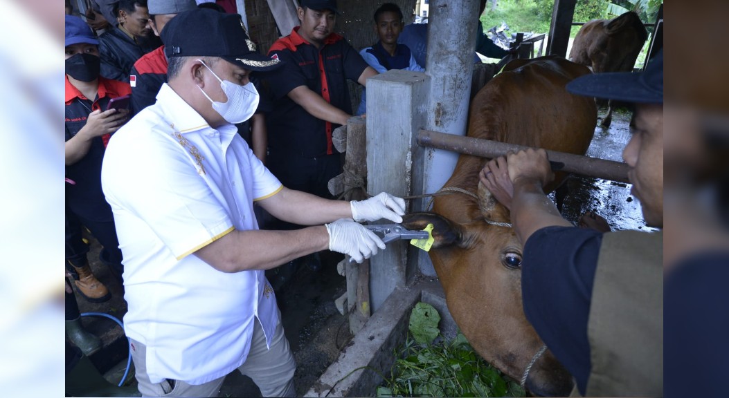 Bupati Zahir Ingatkan Warga Jangan Percaya Berita Hoax Tentang Kurban