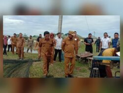 Bupati Sergai Tinjau Panen Ikan Patin