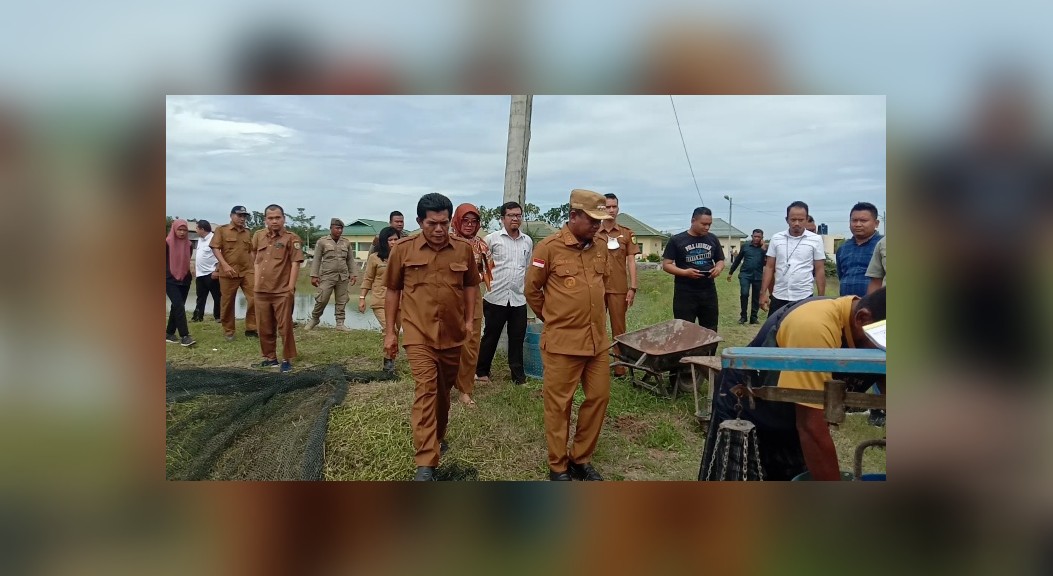 Bupati Sergai Tinjau Panen Ikan Patin