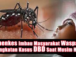 Kemenkes Imbau Masyarakat Waspada Peningkatan Kasus DBD Saat Musim Hujan