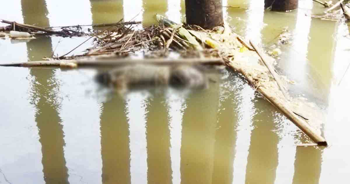 Mayat Sunandio Ditemukan Membusuk di Bawah Jembatan Sungai Wampu