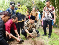 Bupati Zahir Tanam Pohon di Danau Laut Tador