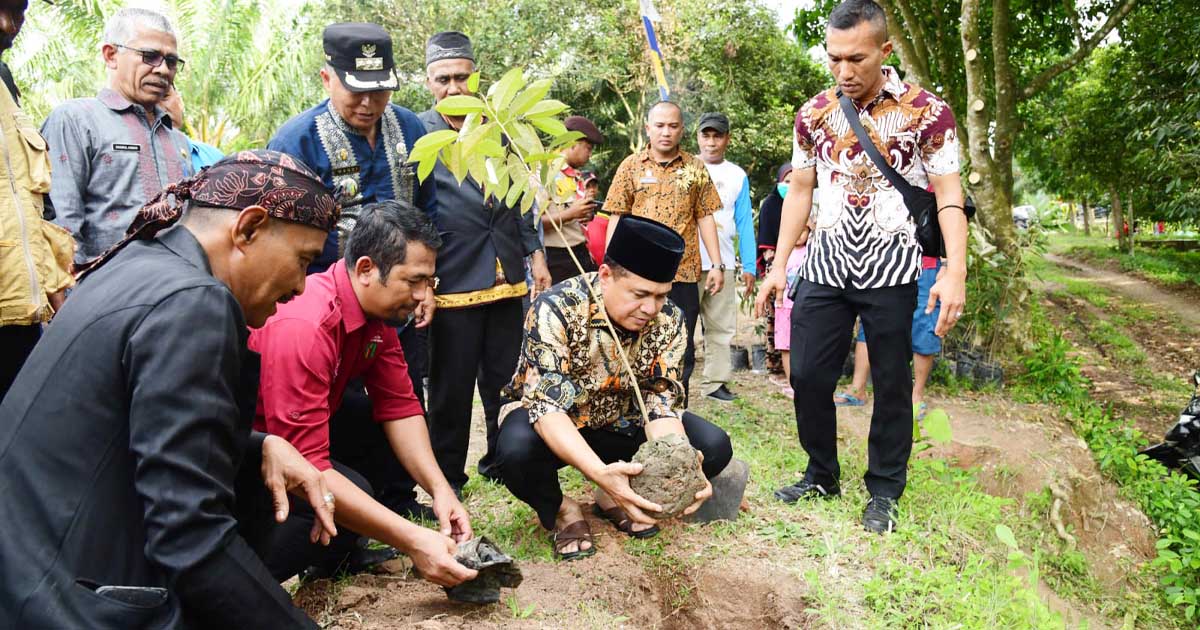 Bupati Zahir Tanam Pohon di Danau Laut Tador