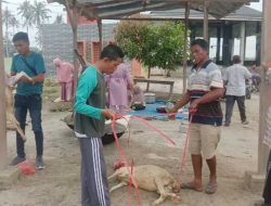 Warga Pematang Cermai Laksanakan Tepung Tawar Bibit Padi