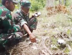 Petugas Temukan Tengkorak Manusia di Hutan