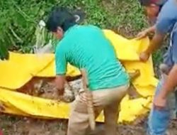 Mayat Jamadi Ditemukan Terbungkus Karung Terkubur di Kebun Durian