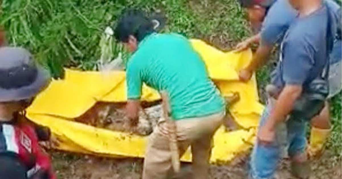 Mayat Jamadi Ditemukan Terbungkus Karung Terkubur di Kebun Durian