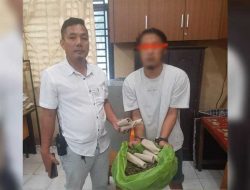 Polsek Medan Timur Tangkap Tersangka Pengedar 1 Kg Ganja