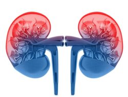 Belum Ditemukan Kasus GGAPA Pada Anak di Batu Bara