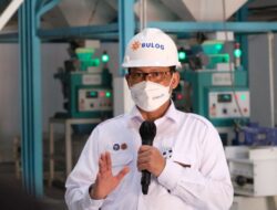 Isu Kelangkaan Pangan, Buwas: Stok Beras Aman 6 Bulan ke Depan