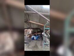 56 Tewas Akibat Gempa Cianjur Jawa Barat