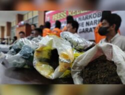 Polisi Ringkus Tersangka Pembawa 6,3 Kg Ganja