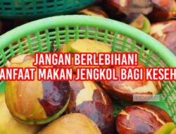 Jangan Berlebihan! Ini Manfaat Makan Jengkol Bagi Kesehatan