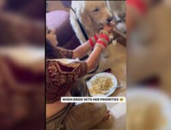 Pengantin Wanita Sempatkan Memberi Makan Anjingnya Saat Istirahat Berdandan, Viral