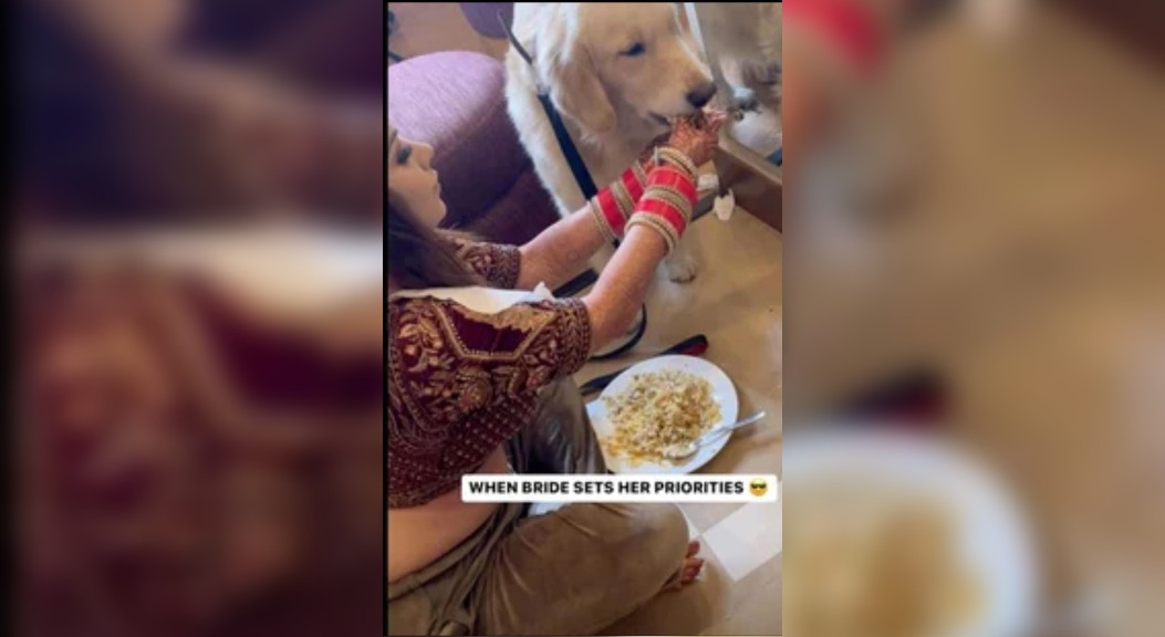 Pengantin Wanita Sempatkan Memberi Makan Anjingnya Saat Istirahat Berdandan, Viral