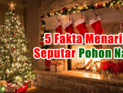 5 Fakta Menarik Seputar Pohon Natal