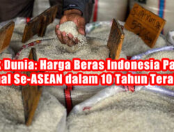 Bank Dunia : Harga Beras Indonesia Paling Mahal Se-ASEAN dalam 10 Tahun Terakhir